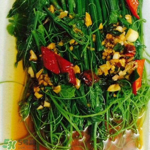 龙须菜和什么相克(龙须菜和什么相克)