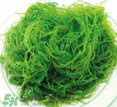 哪些人不能吃龙须菜(哪些人不能吃龙须菜) 哪些人不能吃龙须菜(哪些人不能吃龙须菜)