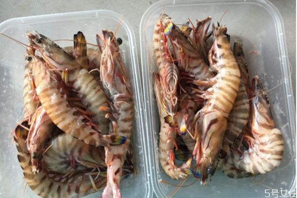 竹节虾对水质有严格要求(竹节虾是淡水还是海水的)