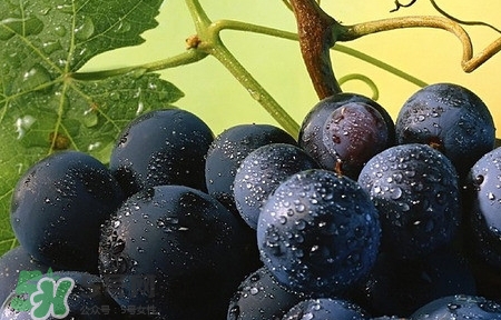 赤霉素对身体有害吗(赤霉素对人体有妨碍吗) 赤霉素对身体有害吗(赤霉素对人体有妨碍吗)