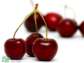 樱桃什么时候吃最好(怎样挑选好吃的猕猴桃)