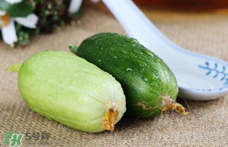 水果黄瓜的种植技术(水果黄瓜种植技术和管理)