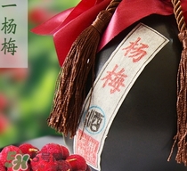 哪些人不适合喝杨梅酒(哪些人不适合喝杨梅酒)