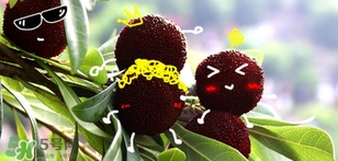 杨梅可以保存多久(冷冻杨梅可以保存多久)