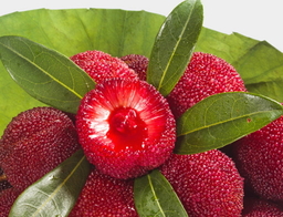 喝杨梅酒有什么好处(喝杨梅酒有什么好处?)