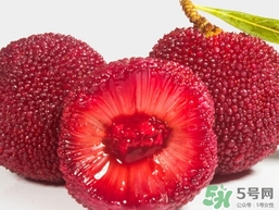 怎么喝杨梅止泻(杨梅止泻吗)