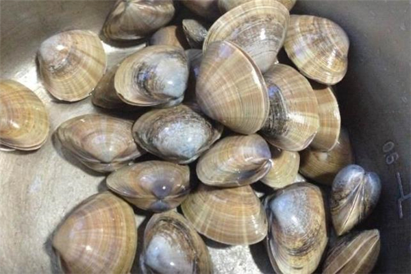 花蚬子的营养价值(花蚬子的营养价值及功效) 花蚬子的营养价值(花蚬子的营养价值及功效)