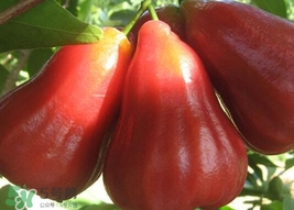 植村秀自动砍刀眉笔怎么削(植村秀眉笔怎么削)