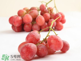 如何区分提子上白霜的真假(提子上面的白霜是什么)