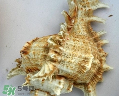 三、高雅格纹蝴蝶结美甲(法式蝴蝶结美甲图片)