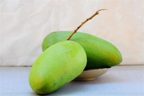 青芒的功效(青芒的功效和作用禁忌)