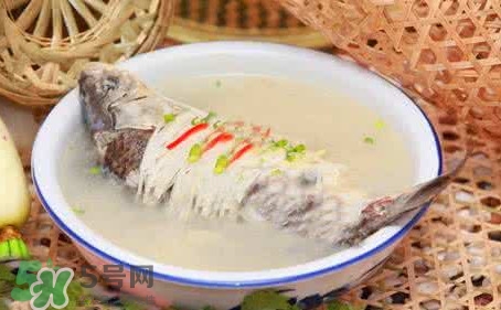 种植头发的原理(种植头发的原理)