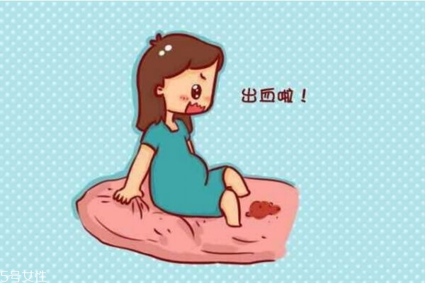 怀孕早期出血怎么预防(孕妇早期出血怎么办)