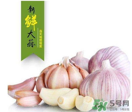 新鲜大蒜腌制方法全解(普通大蒜腌制方法)