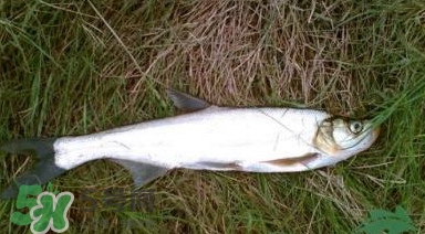 防晒要补涂吗(冬天防晒要补涂吗)