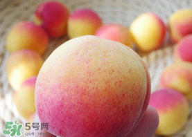 杏的食用方法(杏的食用方法)