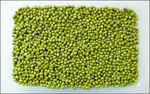 便秘可以吃绿豆糕吗(便秘可以吃绿豆糕吗)