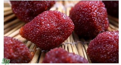 适合孕妇的杨梅食谱推荐(孕妇可以杨梅吗吃)