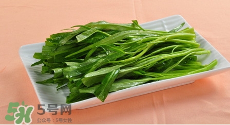 空心菜如何保存(空心菜如何保存)