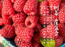 玻色因具体功效和作用(玻色因有什么功效和作用) 玻色因具体功效和作用(玻色因有什么功效和作用)