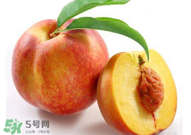 什么东西不能放冰箱(什么东西不能放冰箱里)