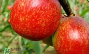 精华后必须用面霜吗(精华后必须用面霜吗) 精华后必须用面霜吗(精华后必须用面霜吗)