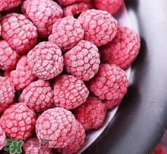 树莓的减肥效果好吗(树莓能减肥吗)