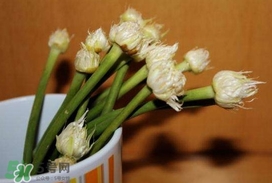 蒜薹保鲜原理(蒜薹保存方法)