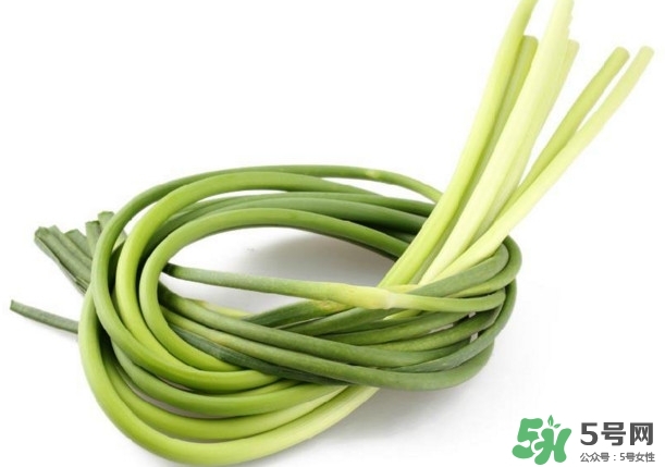 蒜薹的功效和作用(蒜苔的功效和作用)