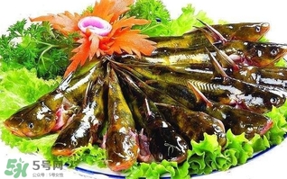 黄辣丁营养价值(黄辣丁营养价值高吗)