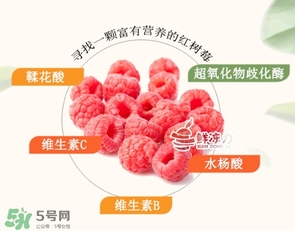 树莓保存方法(树莓保存方法)