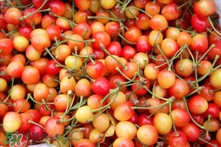 吃樱桃的注意事项(吃樱桃的注意事项)