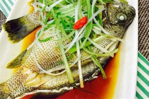 加吉鱼怎么做给产妇吃(加吉鱼怎么做啊)