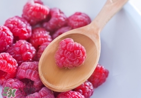 刺泡的采摘保存方法(刺嫩芽保存方法) 刺泡的采摘保存方法(刺嫩芽保存方法)