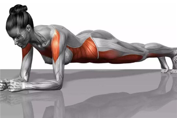 喝苦丁茶可以减肥吗(为什么喝了苦丁茶会胖)