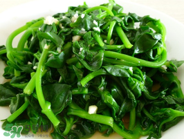 田七是什么(田七是什么样的图片)