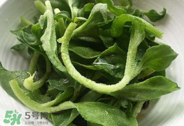 冰菜为什么是咸的(冰菜是咸的吗)