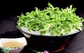 胃寒的人食用禁忌(胃寒忌食的食物)