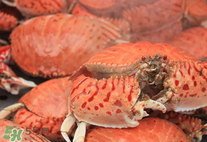 螃蟹约皮皮虾蒸桑拿的做法(皮皮虾螃蟹蒸多长时间) 螃蟹约皮皮虾蒸桑拿的做法(皮皮虾螃蟹蒸多长时间)