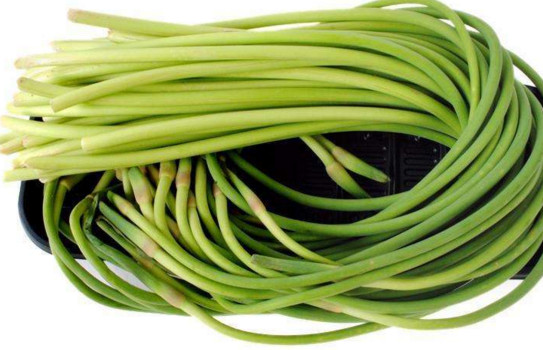 蒜薹的功效和作用(蒜苔的功效和作用)