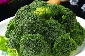 如何辨别转基因蔬菜(什么是转基因蔬菜)