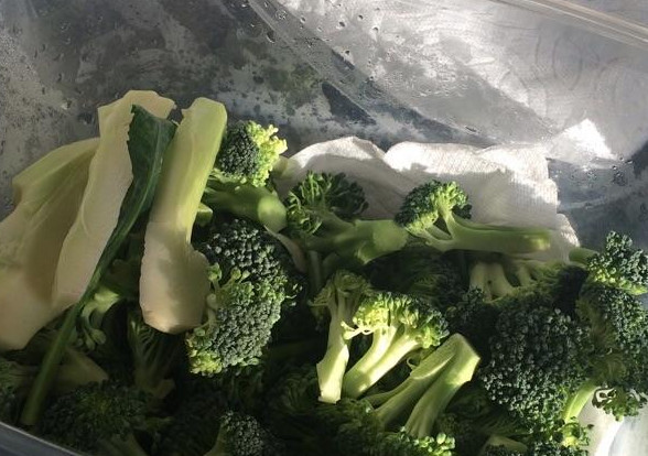 西兰花变黄还能吃吗(西兰花变黄还能吃吗还长了点毛)