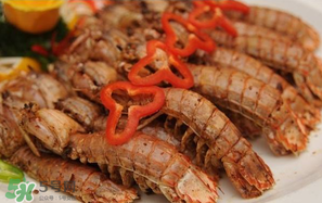 虾黄是公虾还是母虾(虾黄是公虾还是母虾)