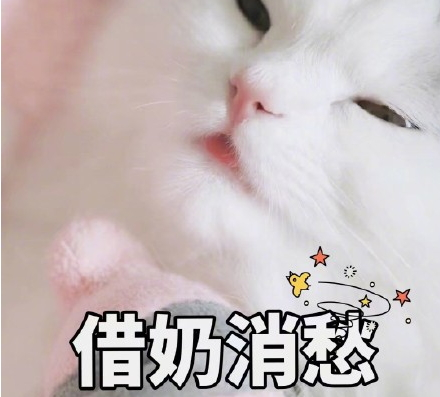 吸猫表情包(吸猫表情包gif)