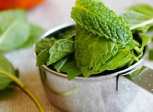 薄荷叶的产地(薄荷叶的产地是哪里) 薄荷叶的产地(薄荷叶的产地是哪里)