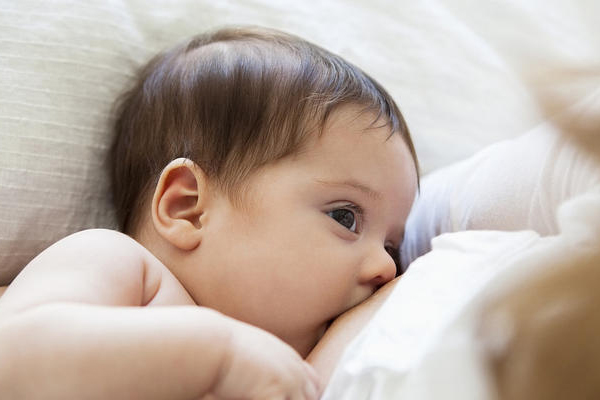 为什么吃茄子可以降血脂(茄子能降血脂吗)