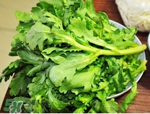 哪些人不适宜食用茼蒿(茼蒿哪些人不能吃)