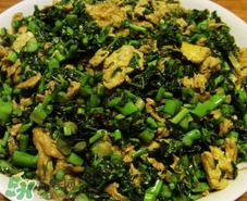 蒲公英的功效和作用(蒲公英的功效和作用?)