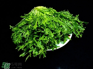苦苦菜的食用方法(苦苦菜的食用方法)