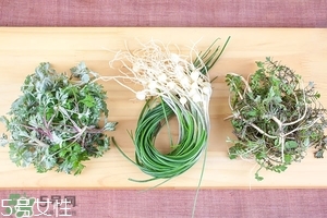 吃野菜要注意哪些(哪些野菜不能吃)